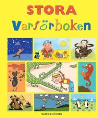 bokomslag Stora varförboken