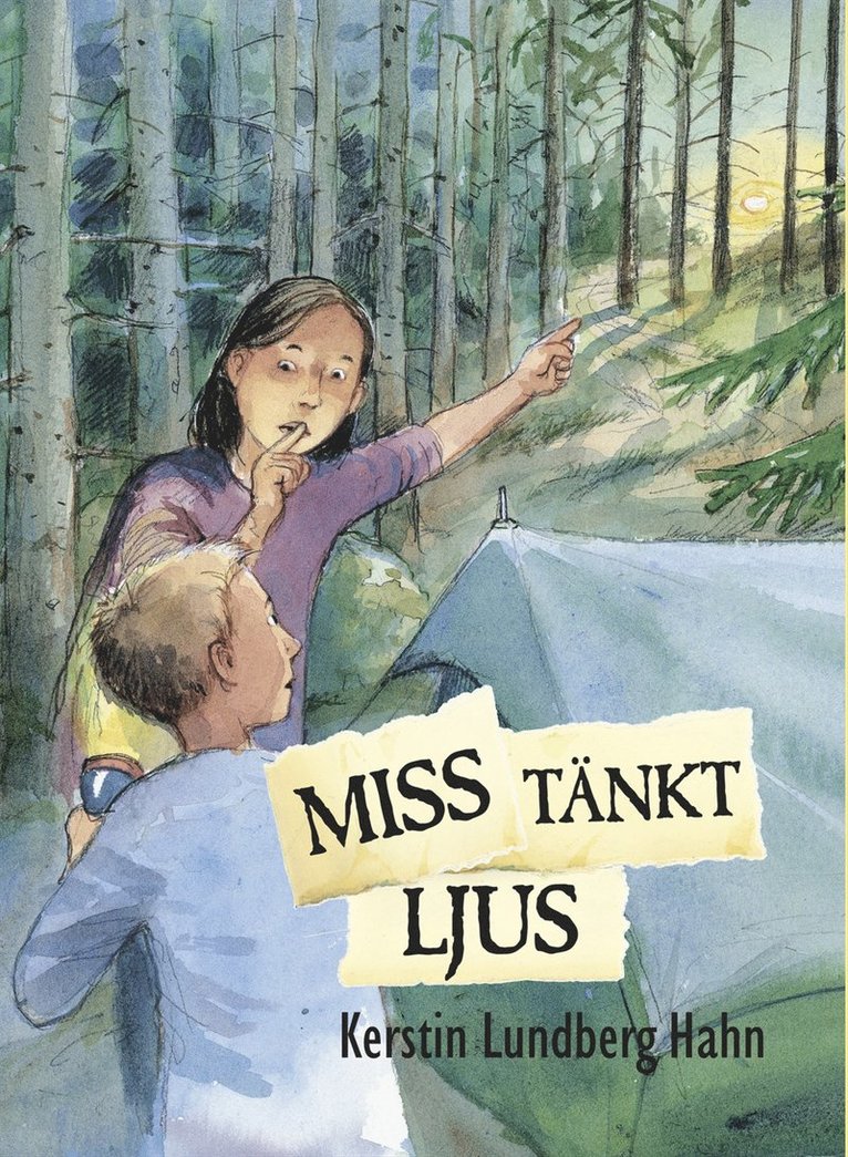 Kerstin Lundberg Hahn - Misstänkt ljus, Kartonnage