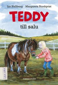 bokomslag Teddy till salu