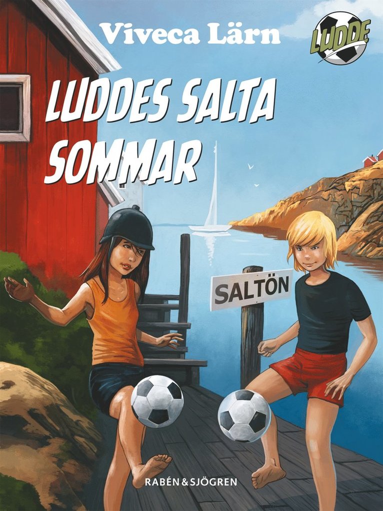 Viveca Lärn - Luddes salta sommar, Kartonnage