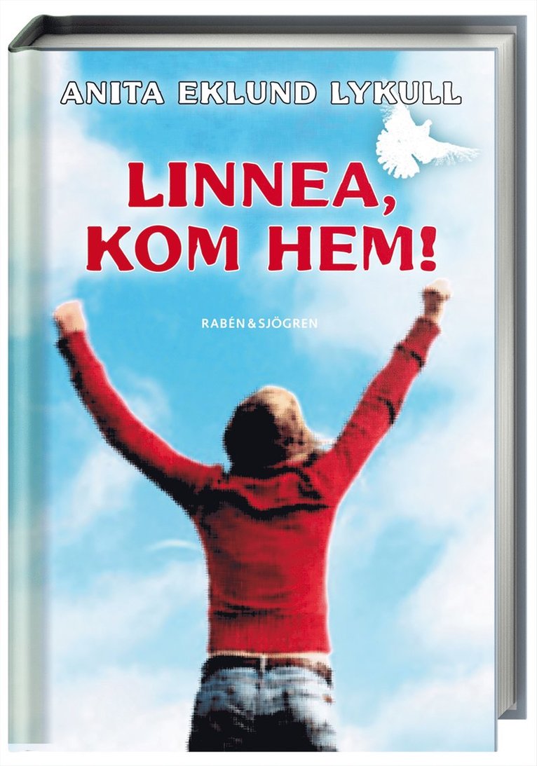 Anita Eklund Lykull - Linnea, kom hem!, Kartonnage