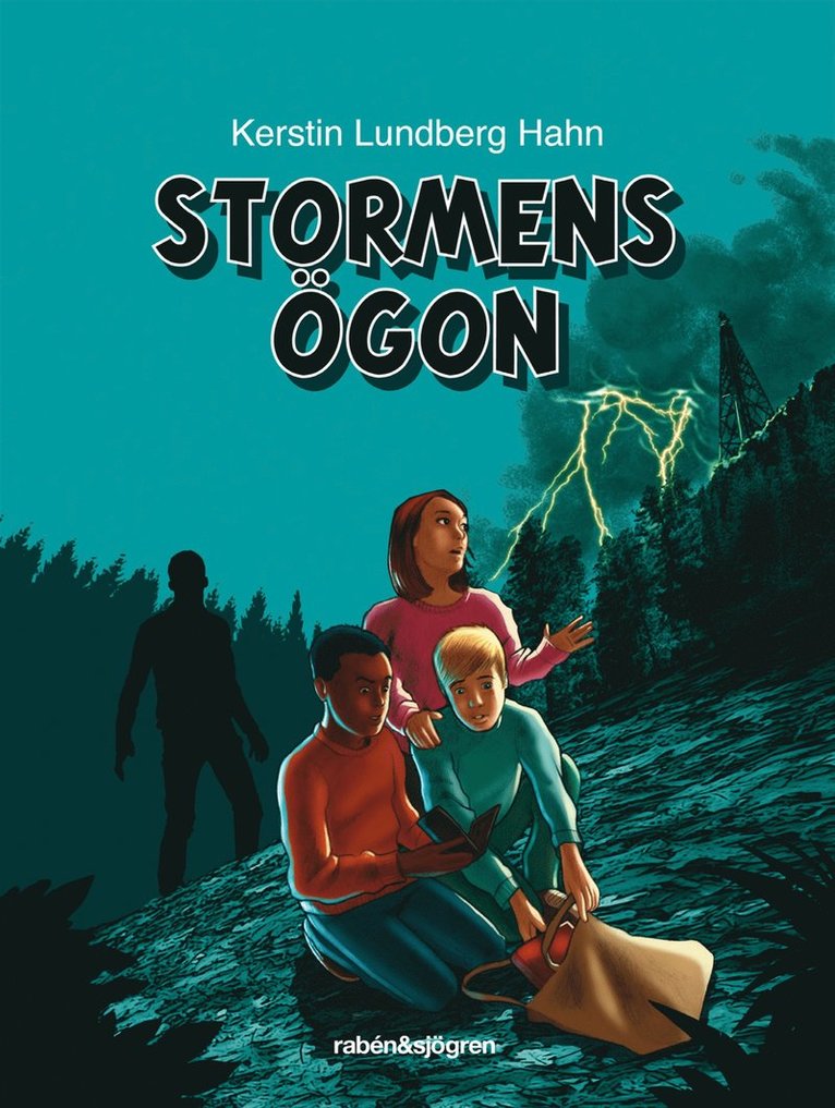 Kerstin Lundberg Hahn - Stormens ögon, Kartonnage