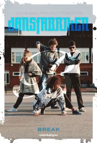 bokomslag Break
