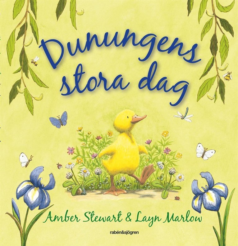 Amber Stewart - Dunungens stora dag, Kartonnage