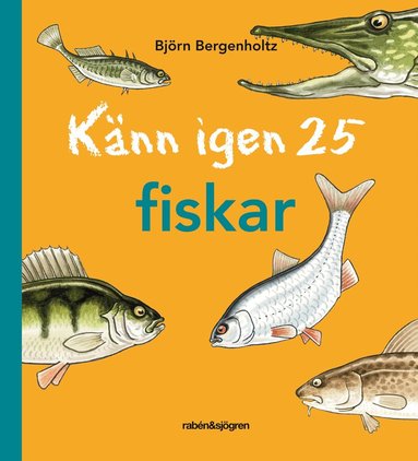 Björn Bergenholtz - Känn igen 25 fiskar, Inbunden