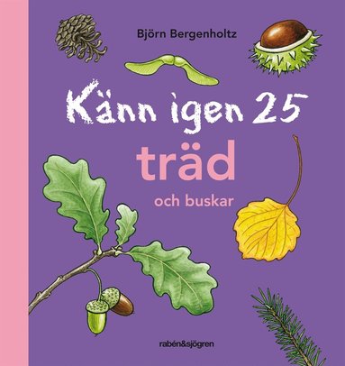 Björn Bergenholtz - Känn igen 25 träd och buskar, Inbunden