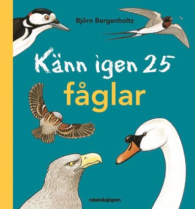 bokomslag Känn igen 25 fåglar