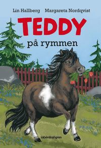 bokomslag Teddy på rymmen