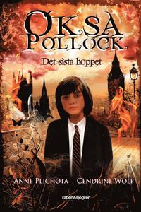 bokomslag Det sista hoppet