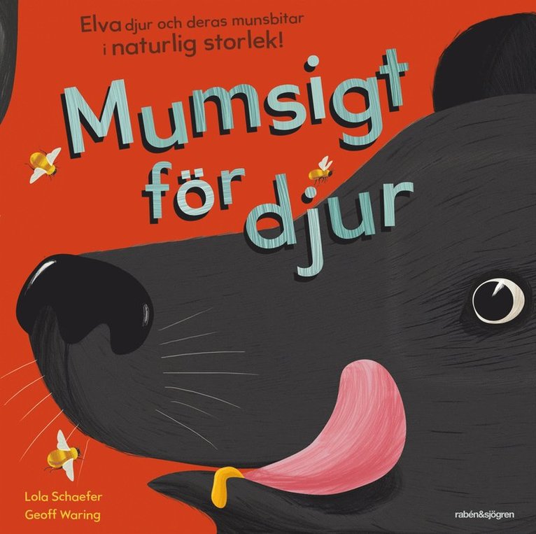 Mumsigt för djur : elva djur och deras munsbitar i naturlig storlek