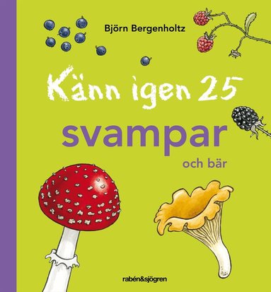 Björn Bergenholtz - Känn igen 25 svampar och bär, Inbunden