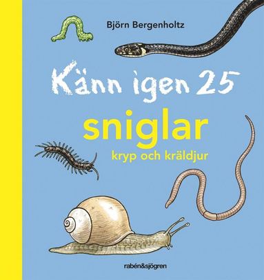 bokomslag Känn igen 25 sniglar, kryp och kräldjur