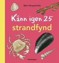 bokomslag Känn igen 25 strandfynd