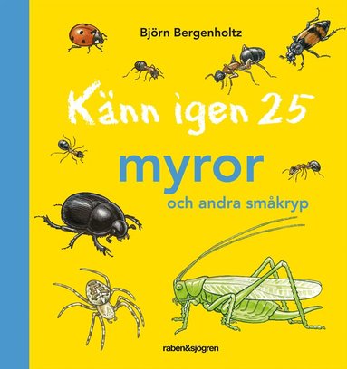 Björn Bergenholtz - Känn igen 25 myror och andra småkryp, Inbunden