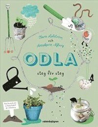bokomslag Odla : steg för steg