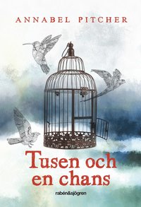 bokomslag Tusen och en chans