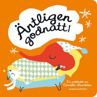 bokomslag Äntligen godnatt!