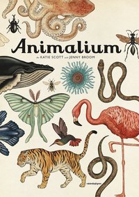 bokomslag Animalium