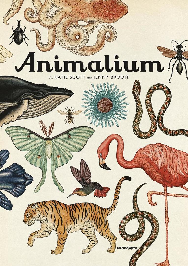 Animalium 1