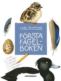 bokomslag Första fågelboken