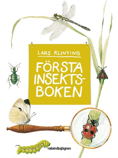 Lars Klinting - Första insektsboken, Inbunden