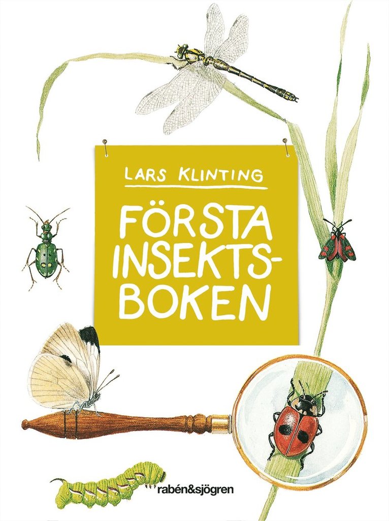 Första insektsboken 1