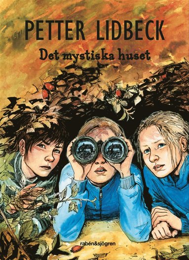 bokomslag Det mystiska huset