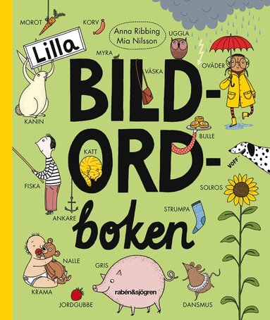Anna Ribbing - Lilla bildordboken, Inbunden