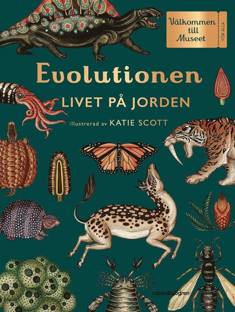 Fiona Munro, Ruth Symons - Evolutionen : livet på jorden, Inbunden