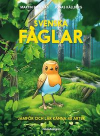 bokomslag Svenska fåglar : jämför och lär känna 40 arter