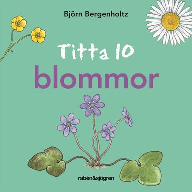 bokomslag Titta 10 blommor