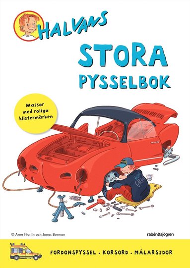 bokomslag Halvans stora pysselbok