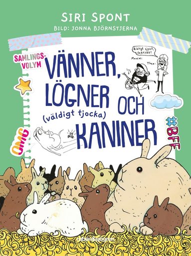 bokomslag Vänner, lögner och (väldigt tjocka) kaniner