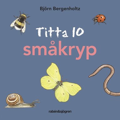 bokomslag Titta 10 småkryp