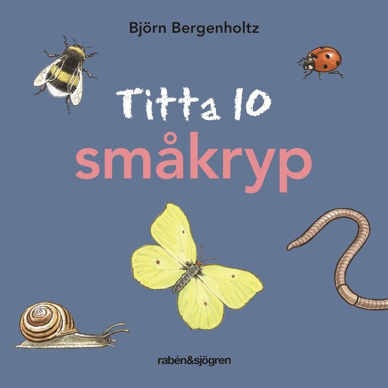Björn Bergenholtz - Titta 10 småkryp, Kartonnage