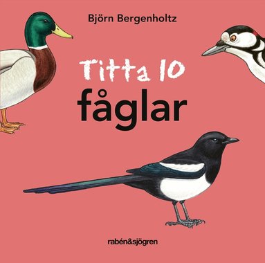 Björn Bergenholtz - Titta 10 fåglar, Kartonnage