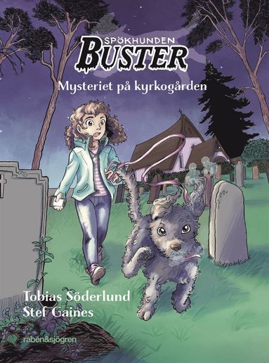 bokomslag Mysteriet på kyrkogården