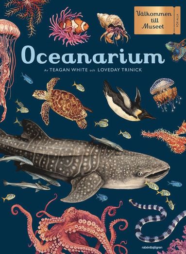 bokomslag Oceanarium