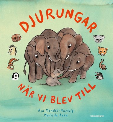 Åsa Mendel-Hartvig - Djurungar : när vi blev till, Inbunden