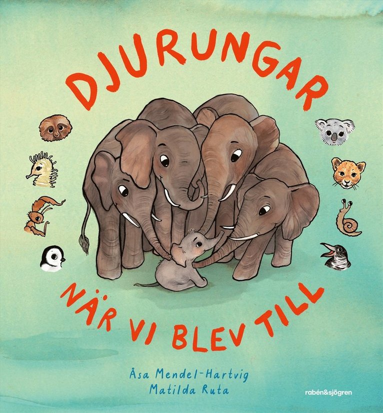 Djurungar : när vi blev till 1