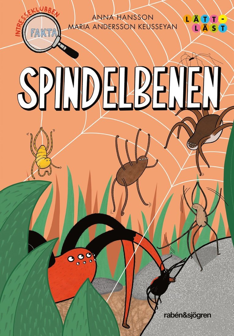 Spindelbenen 1