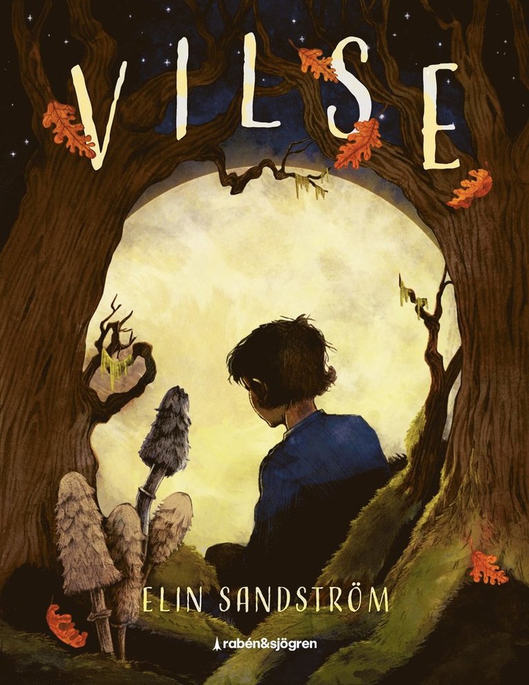 Elin Sandström - Vilse, Inbunden