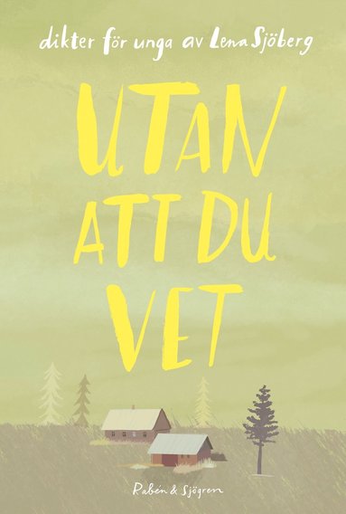 bokomslag Utan att du vet