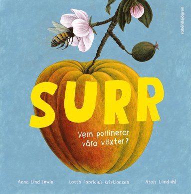 bokomslag Surr : vem pollinerar våra växter?