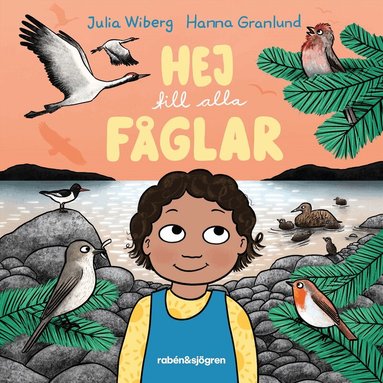 Julia Wiberg - Hej till alla fåglar, Kartonnage