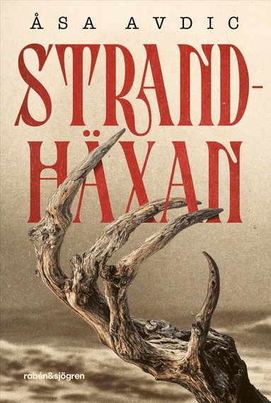 Åsa Avdic - Strandhäxan, Inbunden