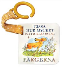 bokomslag Gissa hur mycket jag tycker om dig - Färgerna