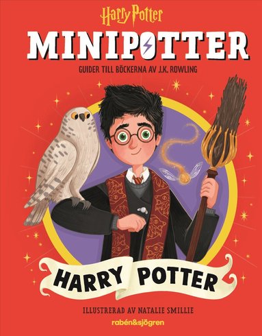 J.K. Rowling - Harry Potter : guider till Harry Potter-böckerna av J.K. Rowling, Inbunden