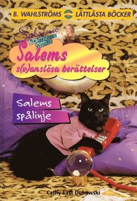 bokomslag Salems spålinje