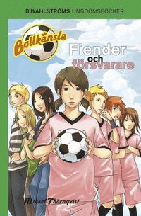bokomslag Fiender och försvarare